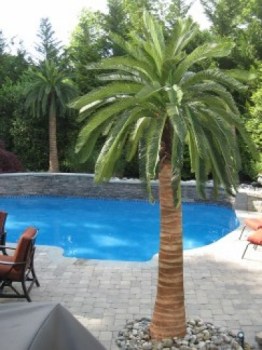 Artificial Palm Trees Poolside Realistic Coconut Canary Outdoor Fake Palm Trees
